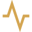 Orange heartbeat or pulse line icon with a sharp peak in the center.